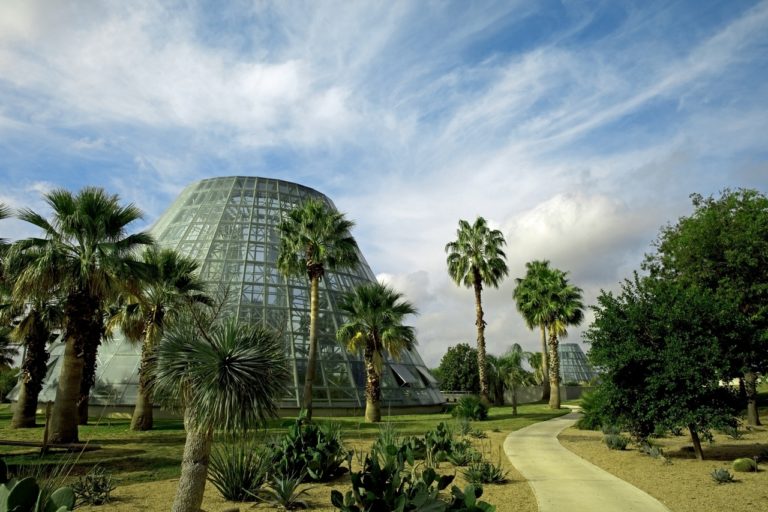 Experience First: How to Explore San Antonio Botanical Garden